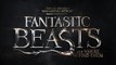 Fantastic Beasts and Where to Find Them - Announcement Trailer Tease