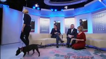 RUTH LANGSFORD: : ITV _THIS MORNING_ 02. Jan. 2013 The Furry Victims of Christmas
