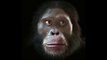 L'évolution du visage de l'homme au cours des 6 millions d'années
