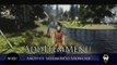 TES V Skyrim Mods: AddItemMenu by towawot