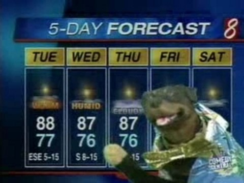 Triumph The Insult Comic Dog @ American