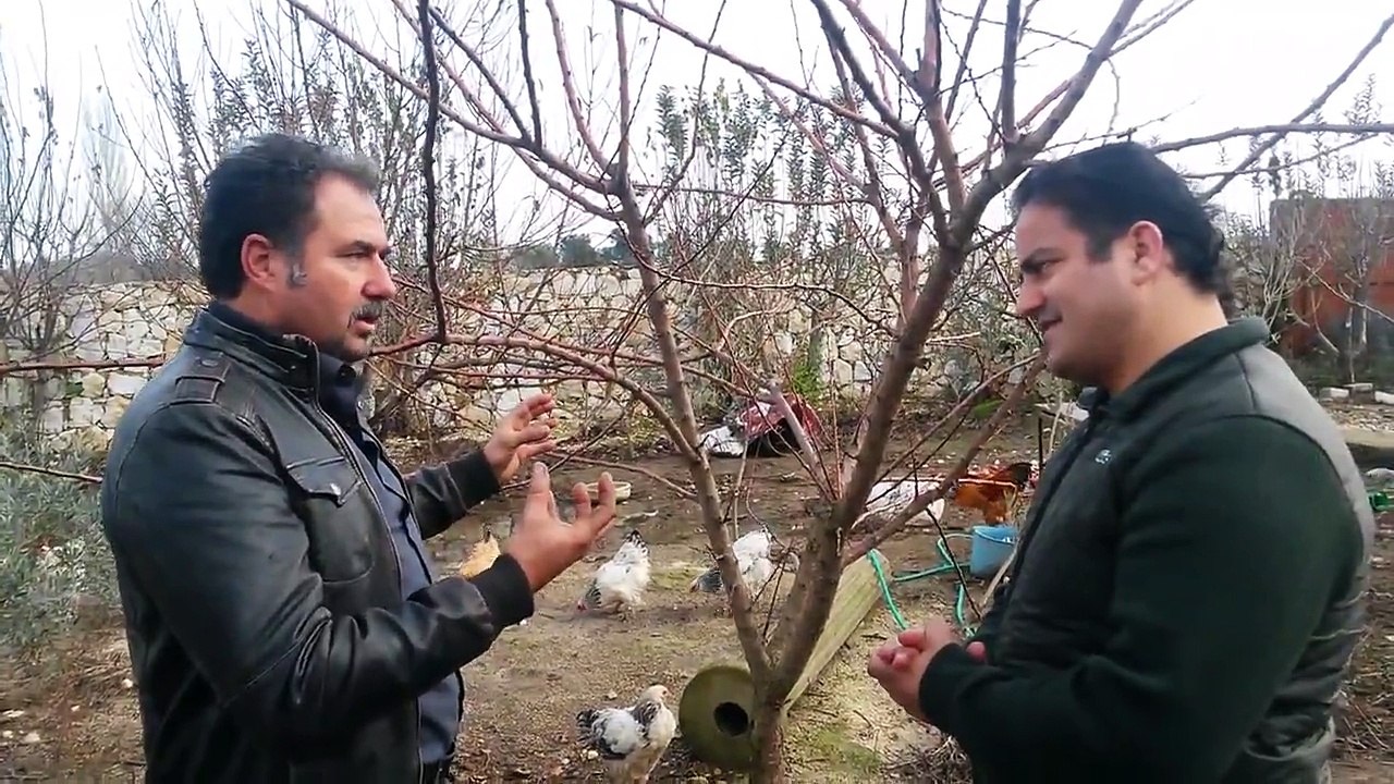 Bir Ağaç Başka Bir Yere Nasıl Taşınır Ve Dikilir video Dailymotion