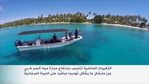 التغيرات المناخية تهدد الحياة المرجانية بجزر مارشال