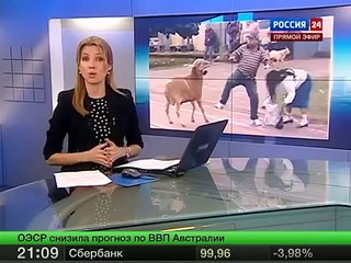 КОЗЕЛ ТЕРРОРИСТ ПРОСЛАВИВШИЙСЯ НА ВЕСЬ ИНТЕРНЕТ!!!