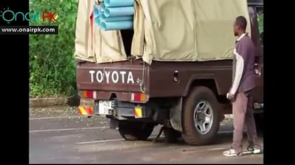 the monkey thieves....checkout their strategy to steal food...