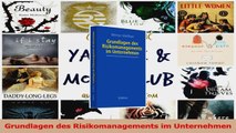 Download  Grundlagen des Risikomanagements im Unternehmen Ebook Frei