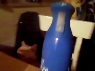 ESTE GATO ESTORNUDA SIN PARAR..POBRE!!! humor gatos - video divertido gatos chistosos