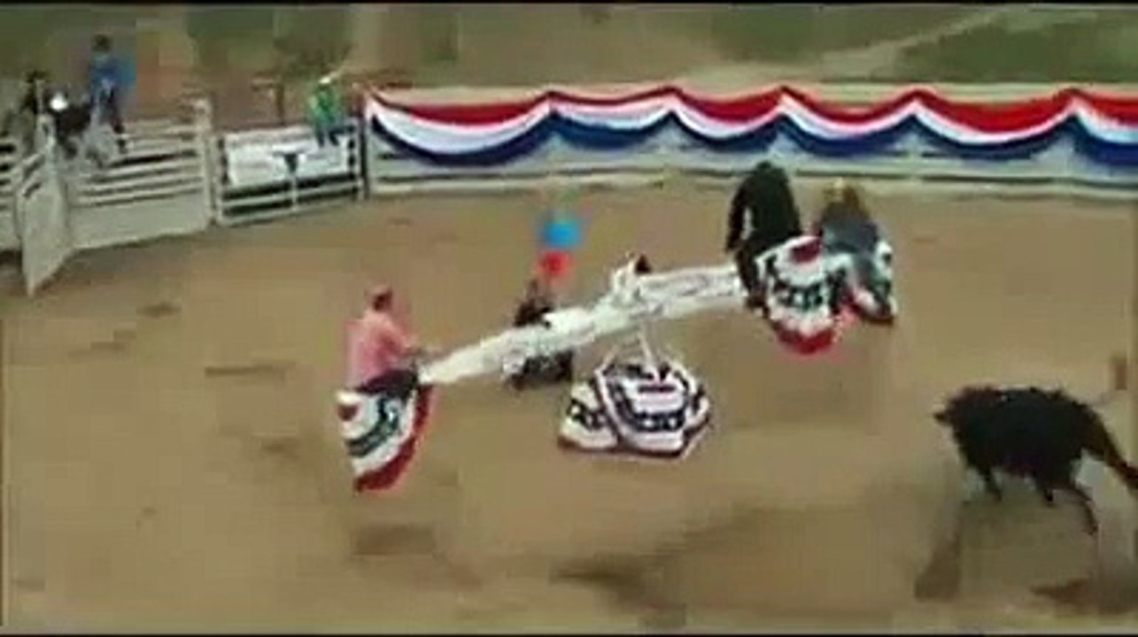 Bull Fighting