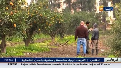 آخر أخبار المال و الأعمال في الموجز الإقتصادي