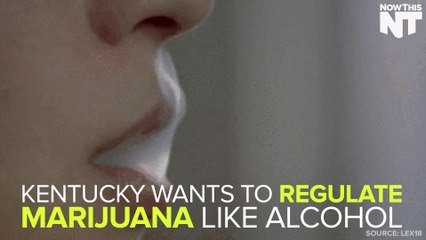 New Bill Would Legalize Weed In Kentucky