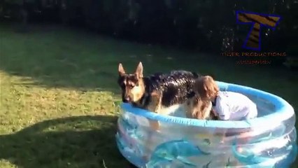Funny babies and animals bathing together - Cute baby