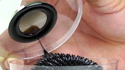 Amazing ferrofluid experiment goes wrong...