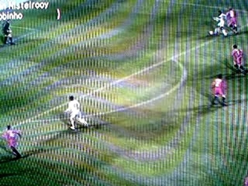 Tete plongeante van nisterlooy