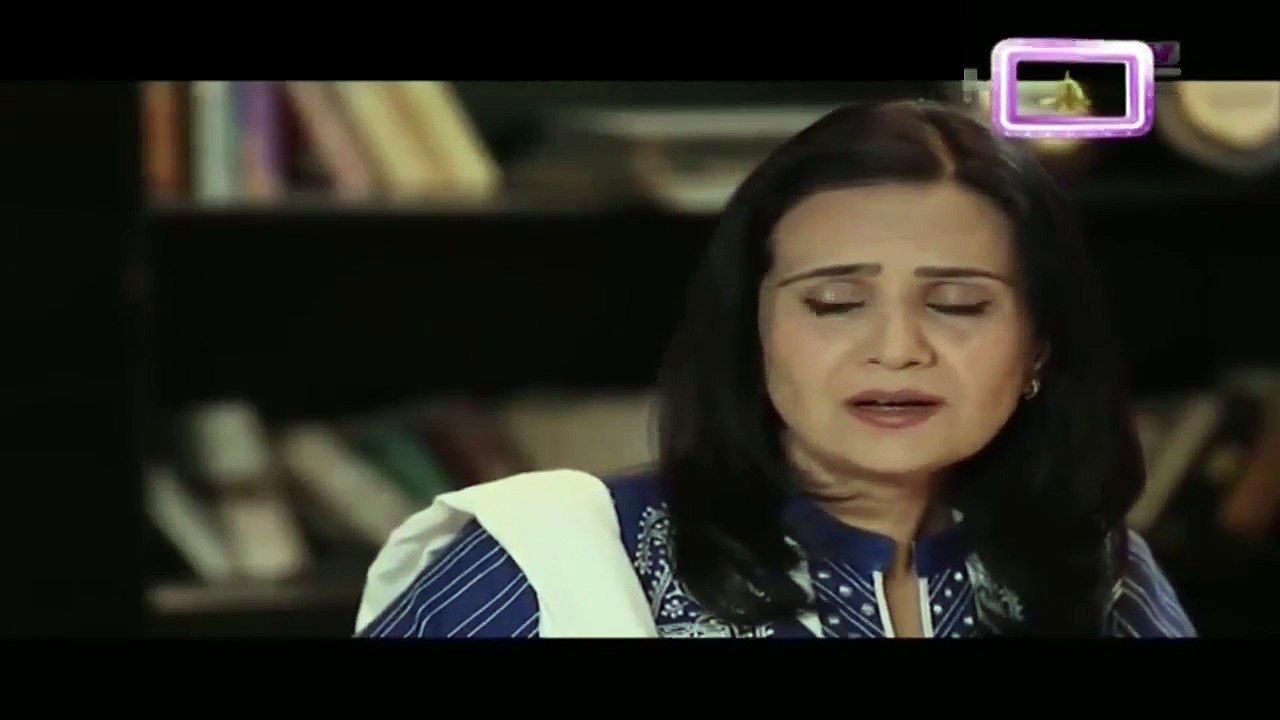 Zindagi Mujhay Tera Pata Chahiye Episode 29 - Ptv Home