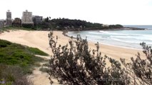 Freshwater Beach & Surfers . . . . . . . . . . . . . . . . . . Australia