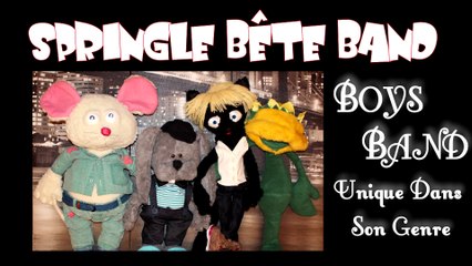 Springle Bête Band - Membres du groupe