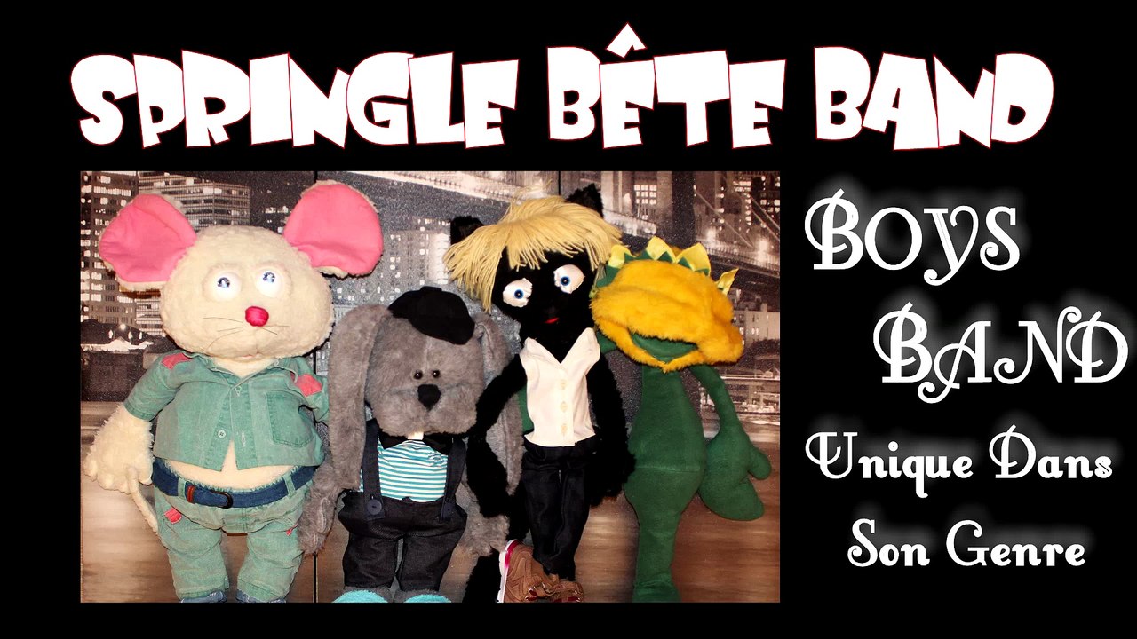 Springle Bête Band - Membres du groupe