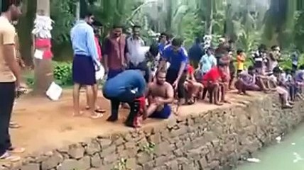 FUNNY ACCIDENT IN INDIA  FUNNY WHATSAPP VIDEOS  FUNNY INDIAN VIDEOS
