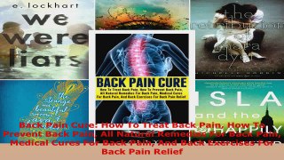 Read  Back Pain Cure How To Treat Back Pain How To Prevent Back Pain All Natural Remedies For Ebook Free