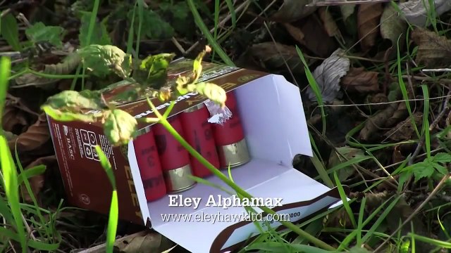 The Shooting Show border rough shoot and Irish sika