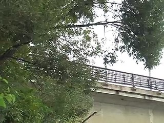 Saut d'un train dans l'eau