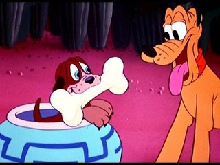 Donald & Daisy's Destiny! The Entire Adorably Cute Love Story! Disney Tribute: 1 Hour Full Episodes