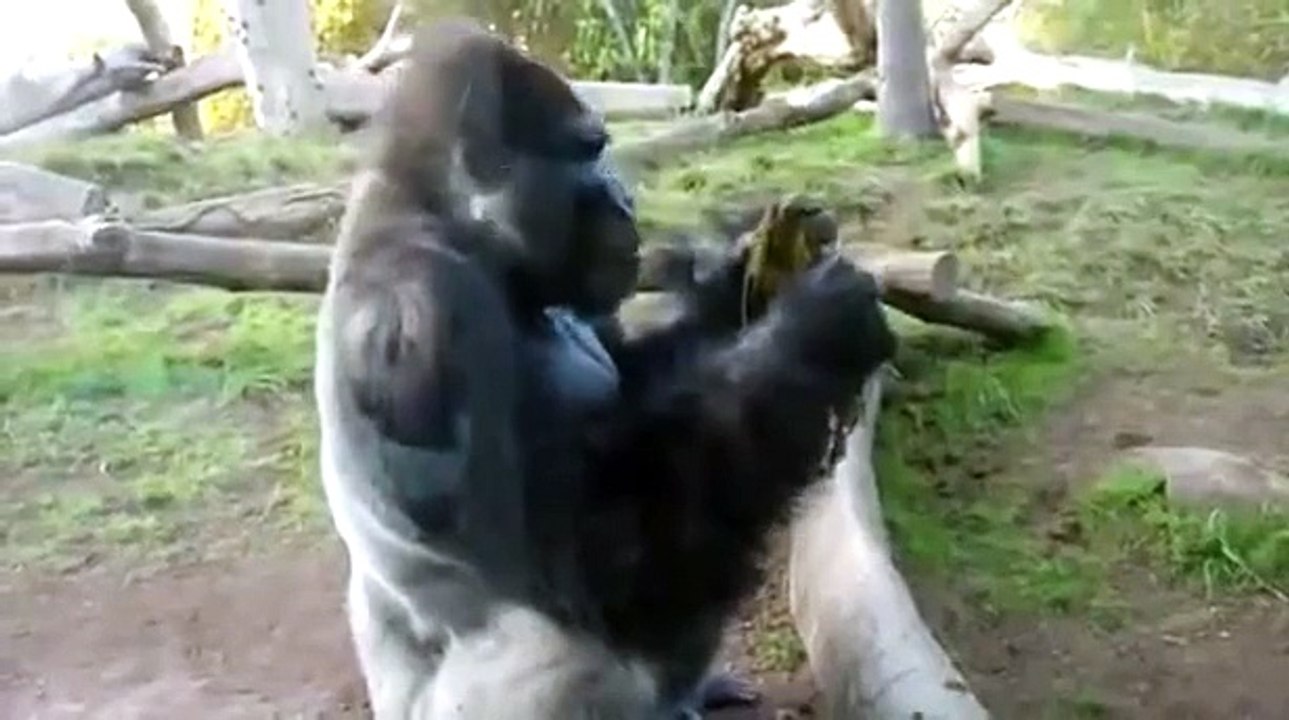 The Most Disgusting Video Ever