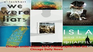 Read  Chicago under Glass Early Photographs from the Chicago Daily News EBooks Online