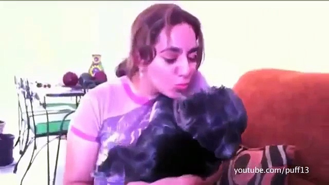 Hunde und katzen, die eine sache hassen