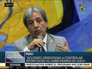 Perú debe implementar acciones orientadas a frenar la deforestación