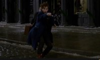 Fantastic Beasts and Where to Find Them - Announcement Trailer [HD]
