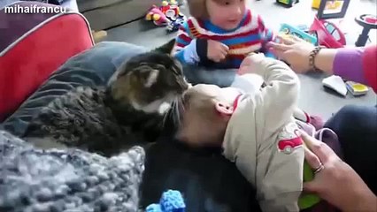 Ultimate Cats Love Babies Compilation 2014 [NEW]