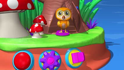 TuTiTu Animals | Animal Toys for Children | Owl