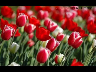 Naam e Ahmad ye wo naam hai baeutiful naat by Fahad shah