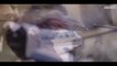 APS Peshawar Martyrs-Rav's Underground(Rujjat)-HD video Nagma  {pak-motion}