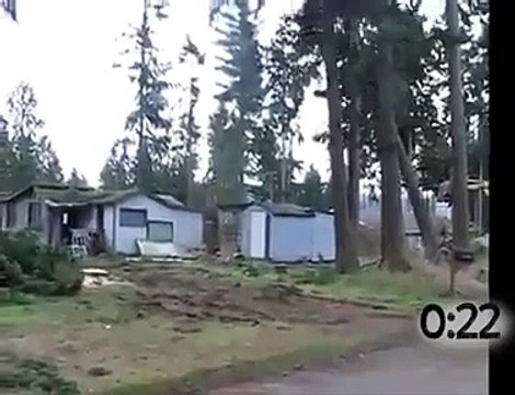 couper un arbre facile mais dangereux