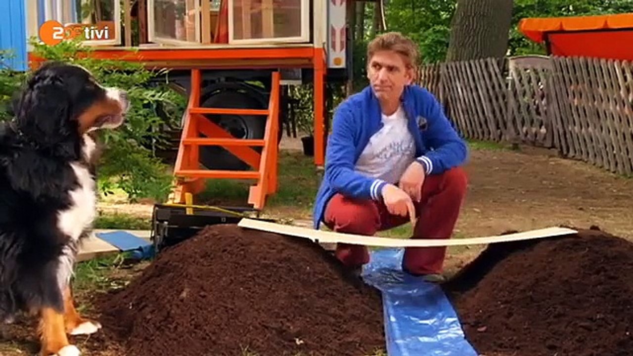 Löwenzahn - brücken