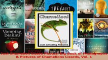 Read  Just Chamelion Lizard Photos Big Book of Photographs  Pictures of Chamelions Lizards EBooks Online
