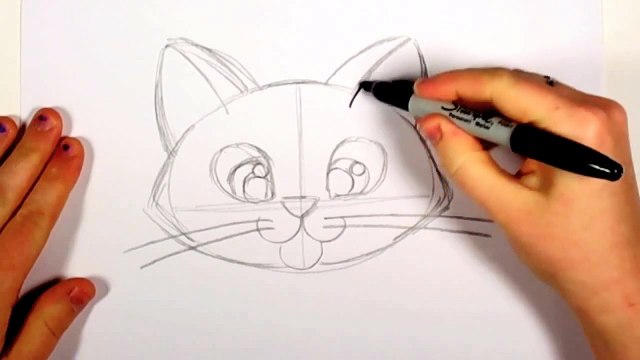 How To Draw A Cat Face Step By Step