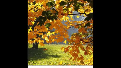 Автор неизвестен  Было тихо