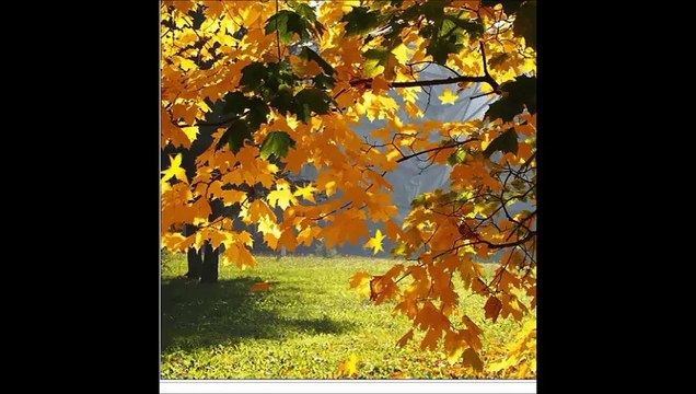 Автор неизвестен Было тихо