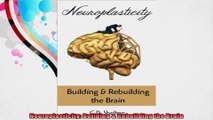 Neuroplasticity Building  Rebuilding the Brain