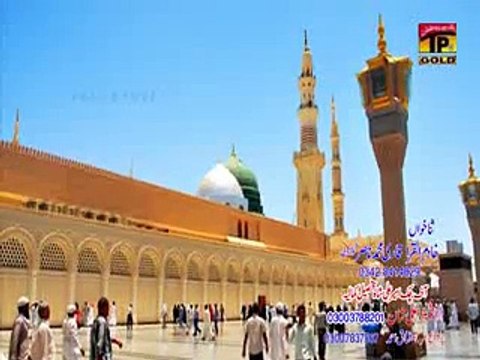 Qari Muhammad Nasir Golrvi of Kamalia mahoob di nagri da ok ali