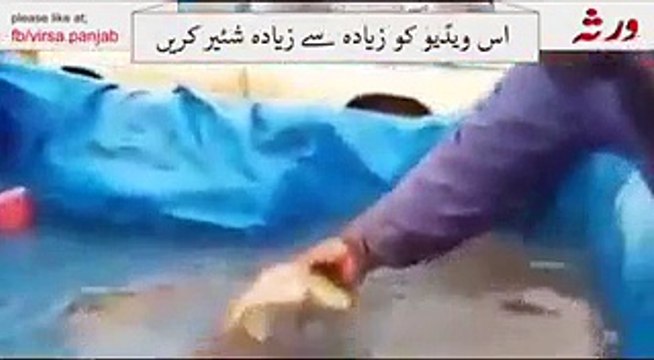VID-20151114-WA0026