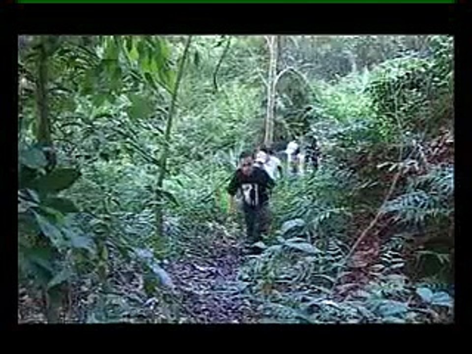 goa tujuh serangkai