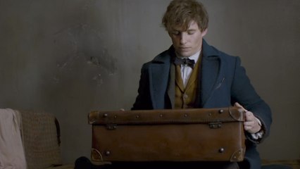 Trailer Animales fantásticos y dónde encontrarlos