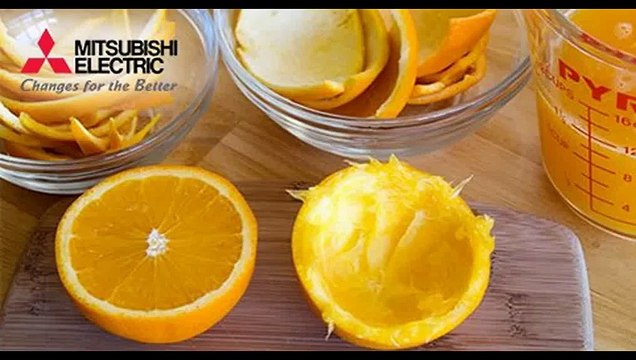 Phân loại và lưu trữ cấp đông các loại thực phẩm