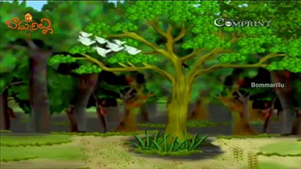 Hunter and Pigeons | Telugu | Short Stories for Children | HD | Jataka Tales