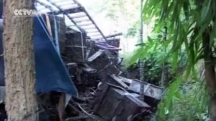 Des Millions dabeilles libéré après laccident de la circulation