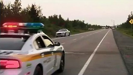 Accident routier - Personnes âgées et le permis de conduire